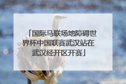 国际马联场地障碍世界杯中国联赛武汉站在武汉经开区开赛